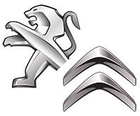 Уплотнительное кольцо, стержень кла CITROEN/PEUGEOT 095638