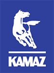 Подшипник, дифференциальный вал KAMAZ 7214