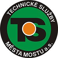 Наконечник поперечной рулевой тяги TS CL0477-0-TS